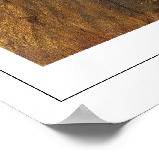 Giovanni Boldini Zedign Art Poster #24 (Hoek)