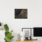 Giovanni Boldini Zedign Kunstposter #322 Poster (Thuiskantoor)