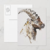 Giovanotto 2005 briefkaart (Voorkant / Achterkant)