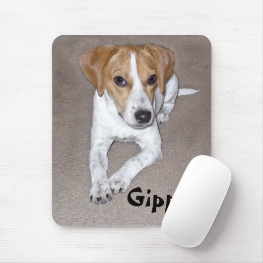 Gipper Doodle Muismat (Met muis)