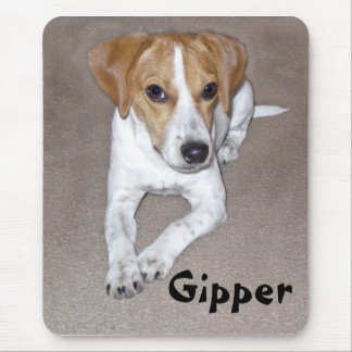 Gipper Doodle Muismat