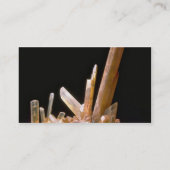 gips visitekaartje (Achterkant)