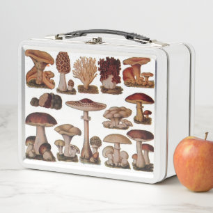 gipsplaat voor botanische druk paddenstoelen