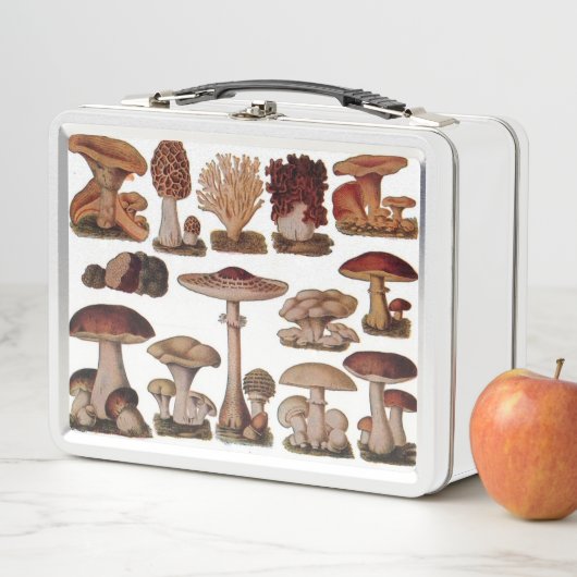 gipsplaat voor botanische druk paddenstoelen (In situ)