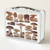 gipsplaat voor botanische druk paddenstoelen (Achterkant)