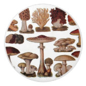 gipsplaat voor botanische druk  paddenstoelen keramische knop (Voorkant)