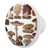 gipsplaat voor botanische druk  paddenstoelen keramische knop (Rechts)