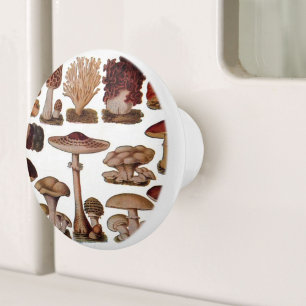 gipsplaat voor botanische druk paddenstoelen keramische knop