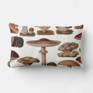 gipsplaat voor botanische druk paddenstoelen kussen