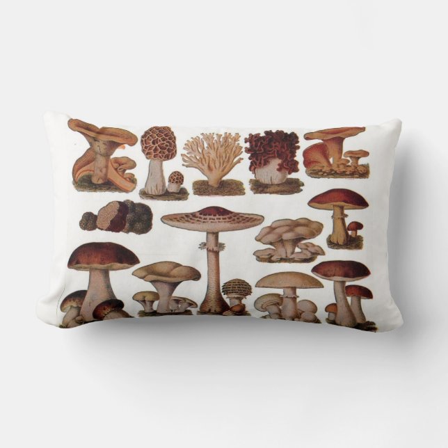 gipsplaat voor botanische druk  paddenstoelen kussen (Voorkant)