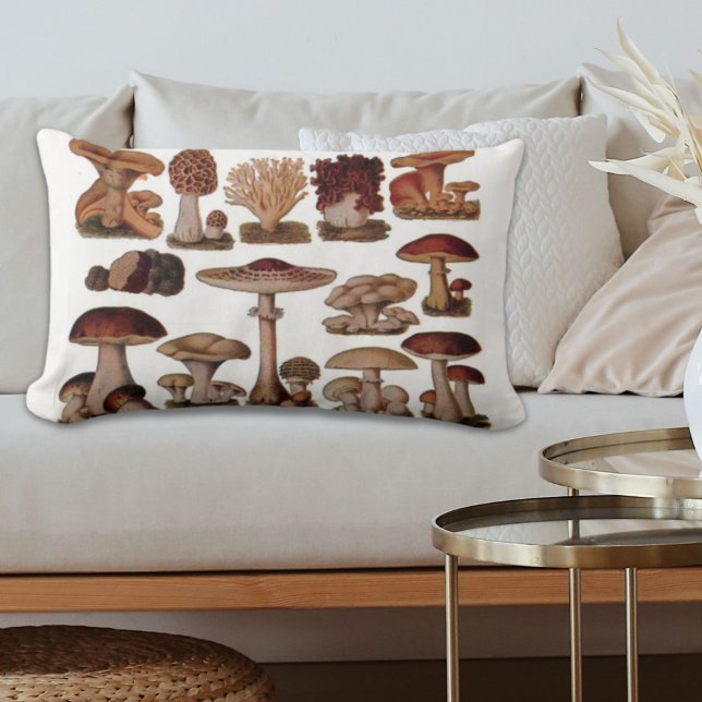 gipsplaat voor botanische druk  paddenstoelen kussen (hipster french botanical print vintage mushrooms lumbar pillow)