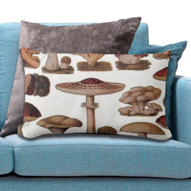 gipsplaat voor botanische druk  paddenstoelen kussen (hipster french botanical print vintage mushrooms lumbar pillow)