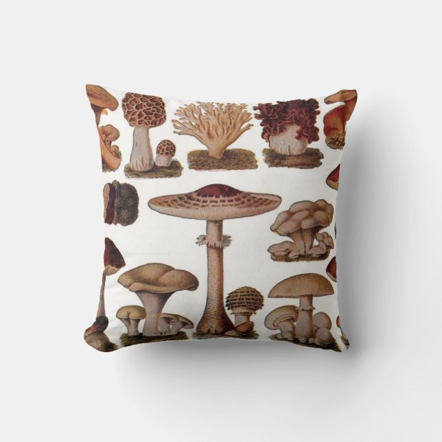 gipsplaat voor botanische druk  paddenstoelen kussen (Voorkant)