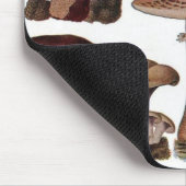 gipsplaat voor botanische druk  paddenstoelen muismat (Hoek)