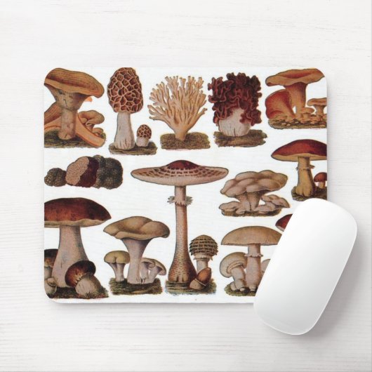 gipsplaat voor botanische druk  paddenstoelen muismat (Met muis)