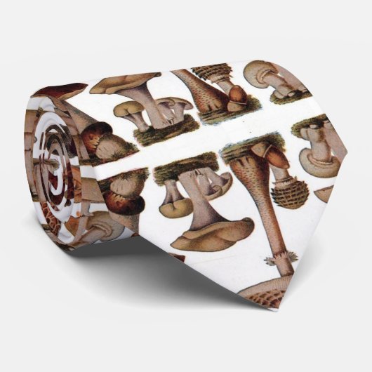 gipsplaat voor botanische druk  paddenstoelen stropdas (Opgerold)