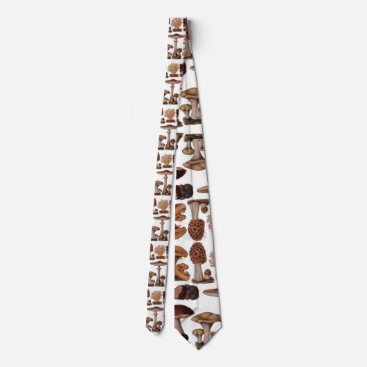 gipsplaat voor botanische druk  paddenstoelen stropdas (Achterkant)