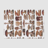 gipsplaat voor botanische druk  paddenstoelen tissuepapier (Voorkant)