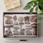 gipsplaat voor botanische druk  paddenstoelen tissuepapier (Geschenk)