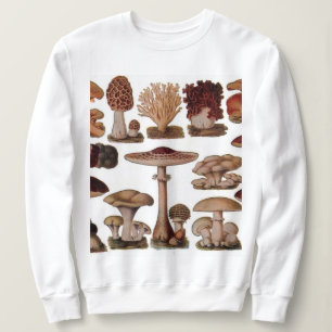 gipsplaat voor botanische druk  paddenstoelen trui
