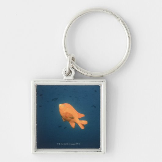 Girabaldi Sleutelhanger (Voorkant)
