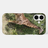 giraf Case-Mate iPhone case (Achterkant (horizontaal))