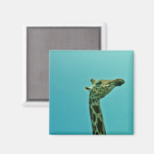 giraf magneet (Voorkant / Achterkant)