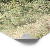 giraf wild poster (Hoek)