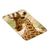 Girafa Zen Magneet (Rechterzijde)