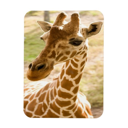 Girafa Zen Magneet (Verticaal)