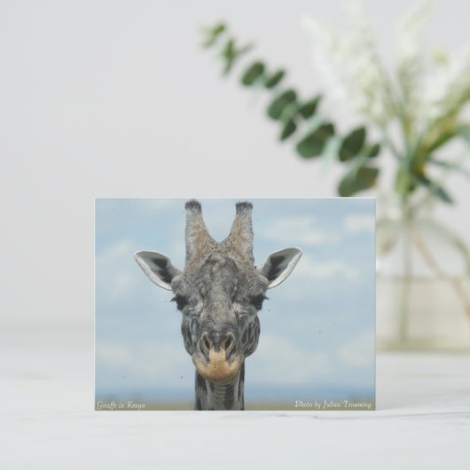 Girafe in Kenia Briefkaart (Staand voorkant)