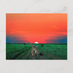 Girafe in Serengeti - Zonsondergang Feestdagenkaart