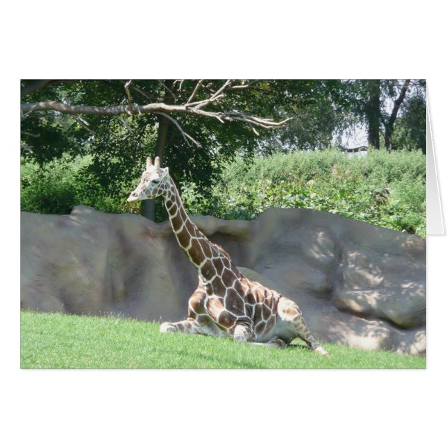 giraferkaart (Voorkant Horizontaal)