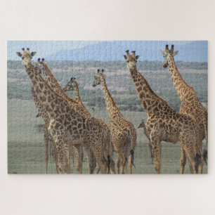 girafertower legpuzzel
