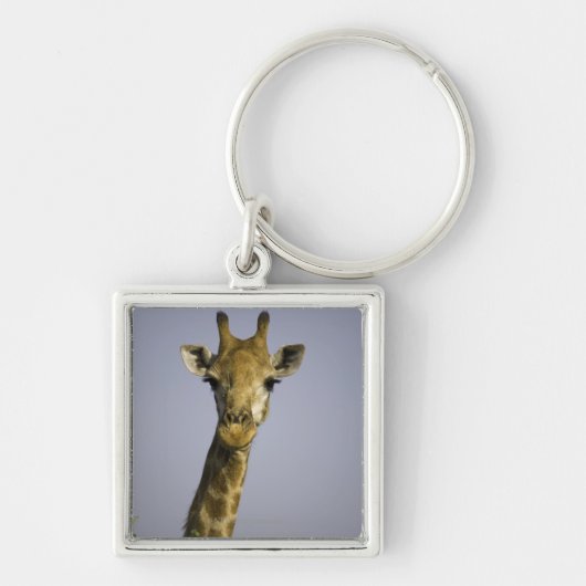 Giraffa Camelopardalis Sleutelhanger (Voorkant)