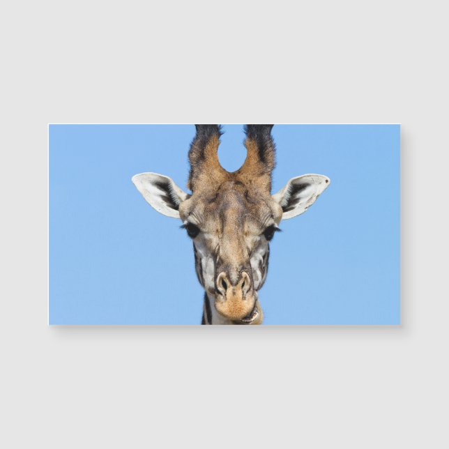 Giraffe (Voorkant)
