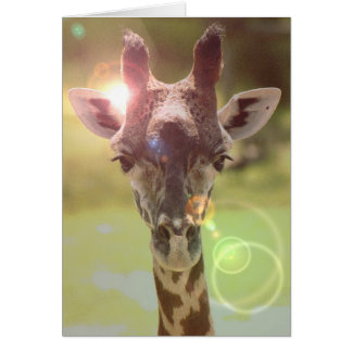 giraffe