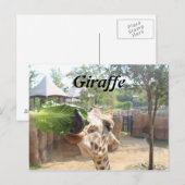 Giraffe # 12 briefkaart (Voorkant / Achterkant)