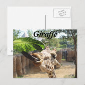 Giraffe # 14 briefkaart (Voorkant / Achterkant)
