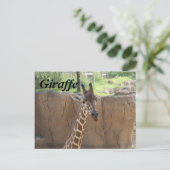 Giraffe # 15 briefkaart (Staand voorkant)