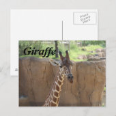Giraffe # 15 briefkaart (Voorkant / Achterkant)