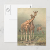  Giraffe 1894 AfdrukAfrikaanse platen Briefkaart (Voorkant / Achterkant)