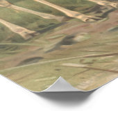  Giraffe 1894 AfdrukAfrikaanse platen Poster (Hoek)