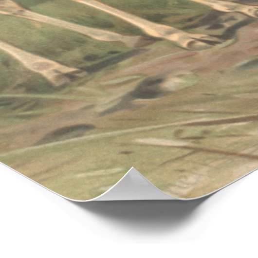  Giraffe 1894 AfdrukAfrikaanse platen Poster (Hoek)