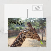 Giraffe # 18 briefkaart (Voorkant / Achterkant)