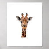 Giraffe _1 poster (Voorkant)