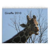 Giraffe 2010 kalender (Hoes)