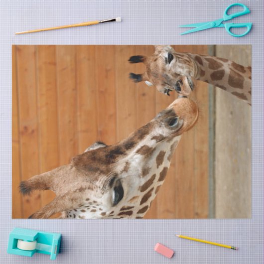 Giraffe_20151101_by_JAMFoto Tissuepapier (Craft)