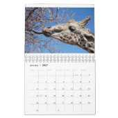 Giraffe 2022 5,5 x 7 inch kalender (Jan 2027)