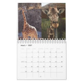 Giraffe 2022 5,5 x 7 inch kalender (Mar 2027)